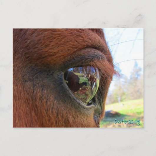 Sonntagsweltpostkarte Postkarte (Vorderseite)