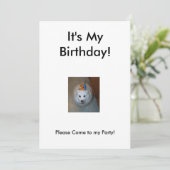 Sonnys Geburtstagseinladung Einladung (Stehend Vorderseite)