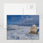 Sonnys schneebedeckter Hügel Postkarte (Vorne/Hinten)