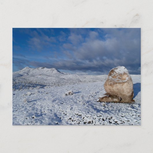 Sonnys schneebedeckter Hügel Postkarte (Vorderseite)