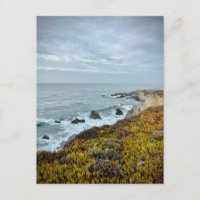 Sonoma Coast Staat Park, Kalifornien