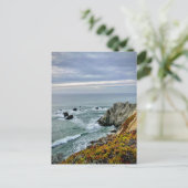 Sonoma Coast Staat Park, Kalifornien Postkarte (Stehend Vorderseite)