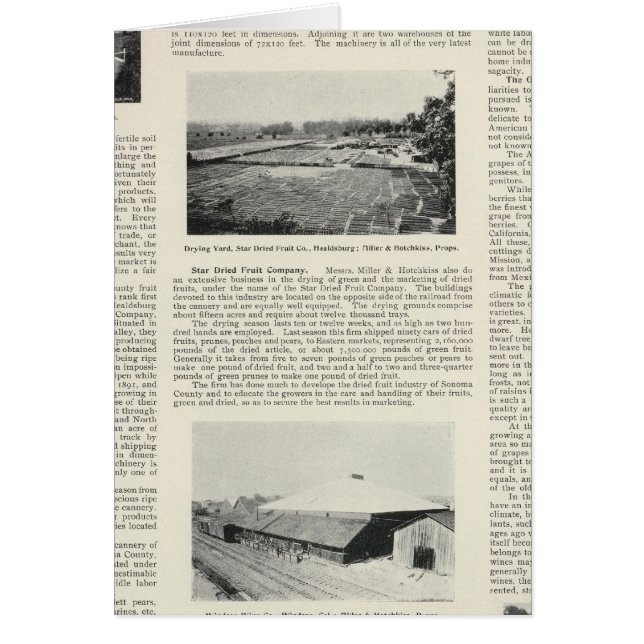 Sonoma Landkreis, Kalifornien (Vorne)