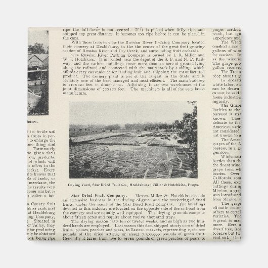 Sonoma Landkreis, Kalifornien Magnet (Vorne)