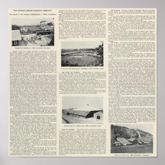 Sonoma Landkreis, Kalifornien Poster (Vorne)