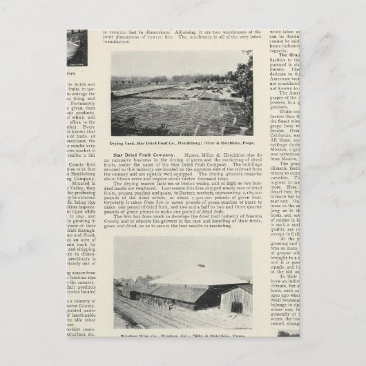 Sonoma Landkreis, Kalifornien Postkarte (Vorderseite)