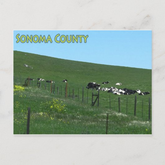 Sonoma-Landkreis-Postkarte Postkarte (Vorderseite)