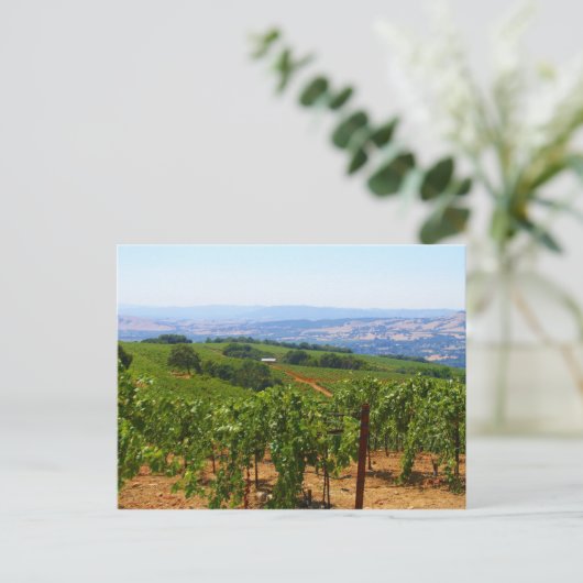 Sonoma Postkarte (Stehend Vorderseite)