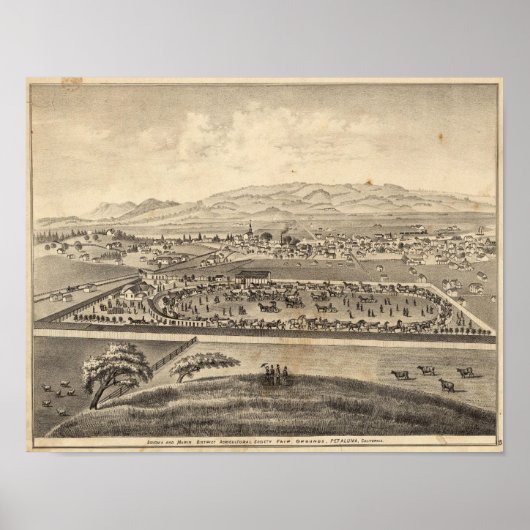 Sonoma und Marin District Agricultural Society Poster (Vorne)