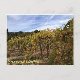 Sonoma Valley Postkarte