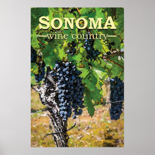 Sonoma Wine Country Poster