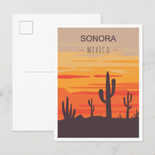 Sonora Mexiko Kunst Vintage Reiseillustration Postkarte