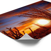 Sonora-Wüste, Arizona Poster (Ecke)