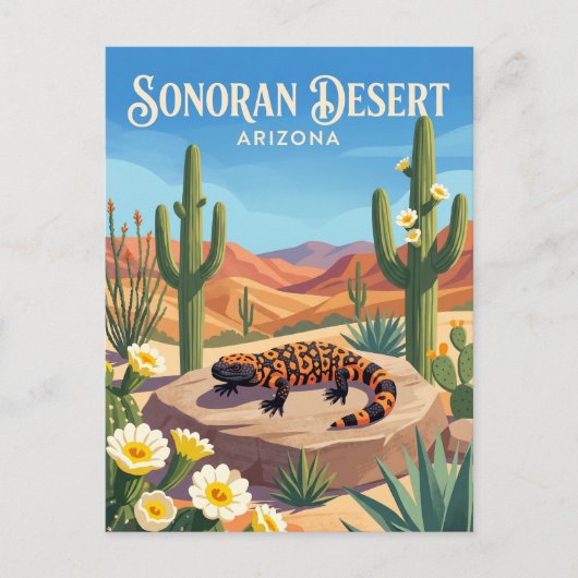 Sonora-Wüste USA Postkarte (Vorderseite)