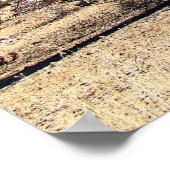 Sonoran Desert 03 Poster (Ecke)