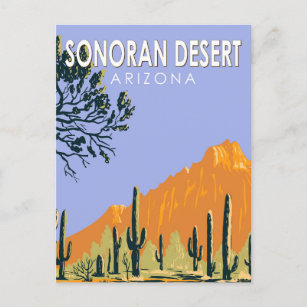 Sonoran Desert Arizona Vintage Kunst Postkarte