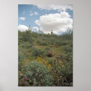 Sonoran Desert Frühlingssymphonie Kunstposter Poster