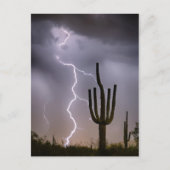 Sonoran Desert Monsoon Storming Postkarte (Vorderseite)