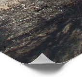 Sonoran Desert Scene 05 Poster (Ecke)