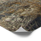 Sonoran Desert Scene 07 Poster (Ecke)