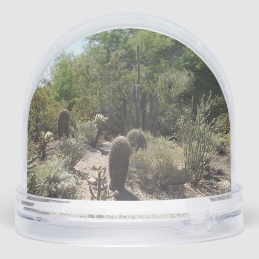 Sonoran Desert Snow Globe Schneekugeln (Rückseite)