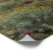 Sonoran Desert Spring Symphony Art Print Posters Poster (Ecke)