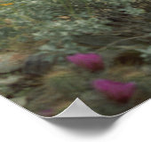 Sonoran Desert Spring Symphony Poster Art Prints (Ecke)