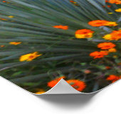 Sonoran Desert Wild Blume 2 Poster (Ecke)