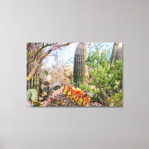 Sonoran-Kaktusblüte in Arizona Leinwanddruck