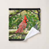 Sonoran Kardinals-Tuch-Set Badhandtuch Set (Waschlappen)