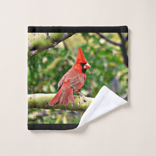 Sonoran Kardinals-Tuch-Set Badhandtuch Set (Waschlappen)