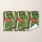 Sonoran Kardinals-Tuch-Set Badhandtuch Set (Handtuch)