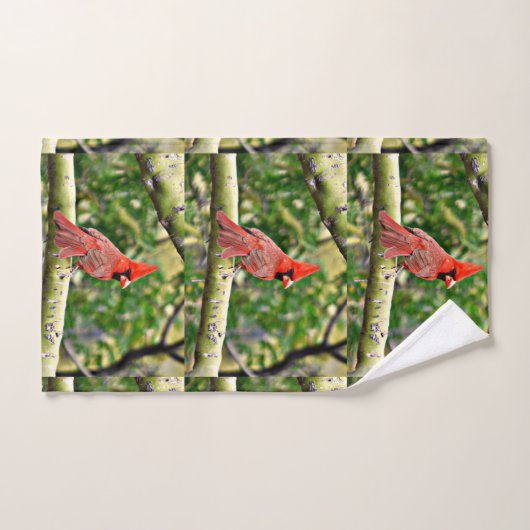 Sonoran Kardinals-Tuch-Set Badhandtuch Set (Handtuch)