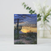 Sonoran Sunrise Postkarte (Stehend Vorderseite)