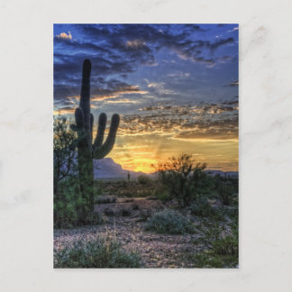 Sonoran Sunrise Postkarte