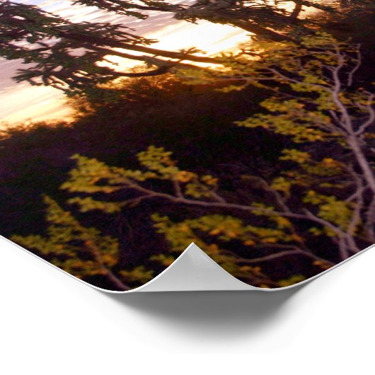 Sonoran Sunset Poster (Ecke)