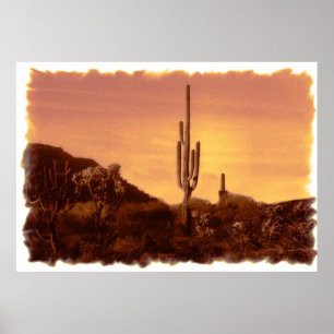 Sonoran Sunset Print Poster