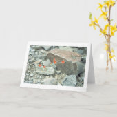 Sonoran Wüste blüht Grußkarte oder Note Card Karte (Gelbe Blume)