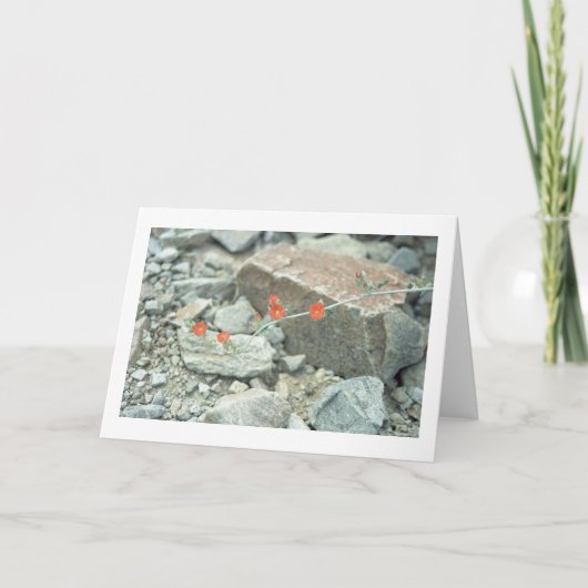 Sonoran Wüste blüht Grußkarte oder Note Card Karte (Vorderseite)