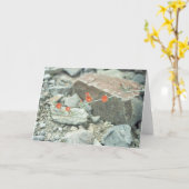 Sonoran Wüste blüht Grußkarte oder Note Card Karte (Gelbe Blume)