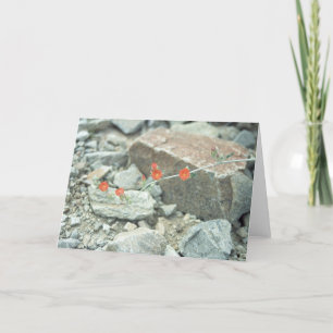 Sonoran Wüste blüht Grußkarte oder Note Card Karte