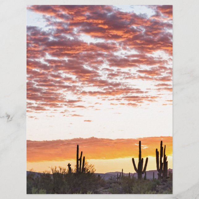 Sonoran Wüste farbenfroher Sonnenaufgang Morgen (Vorderseite)