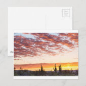 Sonoran Wüste farbenfroher Sonnenaufgang Morgen Postkarte (Vorne/Hinten)