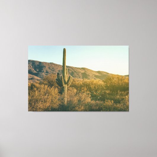 Sonoran-Wüste Leinwanddruck (Vorderseite)