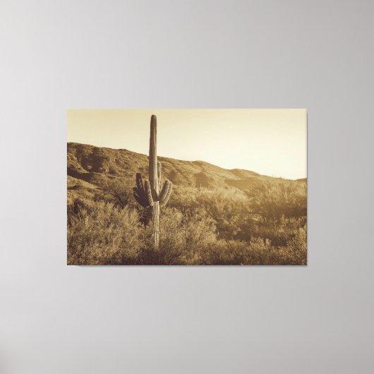 Sonoran-Wüste Leinwanddruck (Vorderseite)