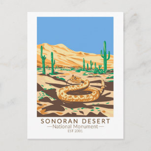 Sonoran Wüste National Monument Rattlesnake Retro Postkarte