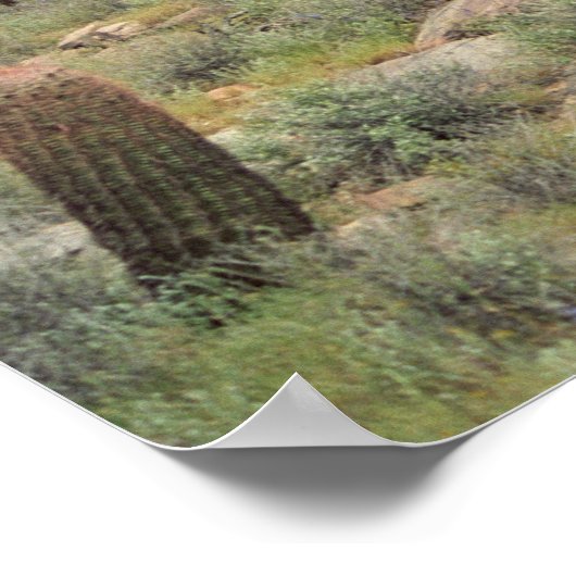 Sonoran Wüste Pastorale Art Print Foto Poster (Ecke)