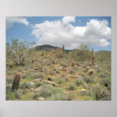 Sonoran Wüste Pastorale Art Print Foto Poster (Vorne)