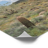 Sonoran Wüste Pastorale Art Print Foto Poster (Ecke)