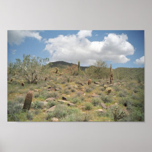 Sonoran Wüste Pastorale Art Print Foto Poster